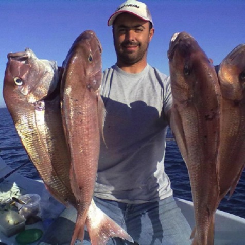 Mario with some excellent Algarve red snappers